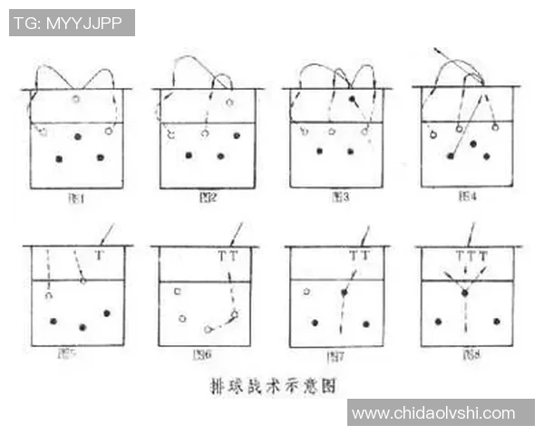 南京排球队在邀请赛中的灵活性展现与战术调整分析