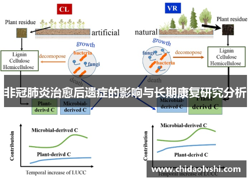 非冠肺炎治愈后遗症的影响与长期康复研究分析